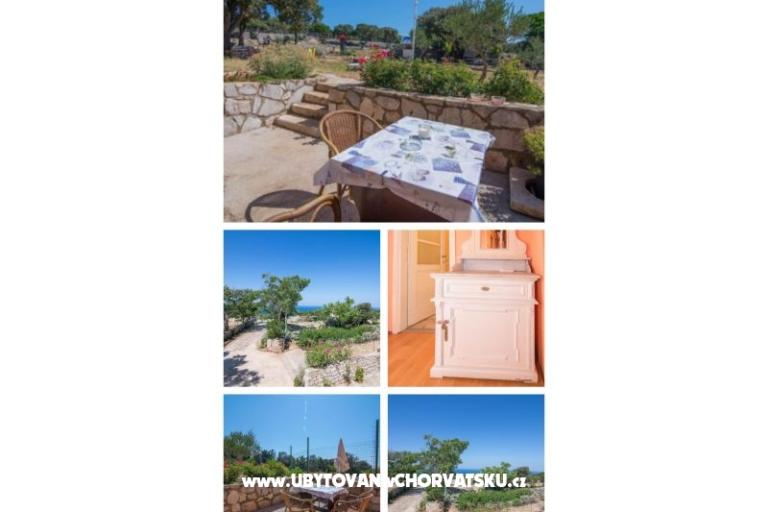 App Bonić – foto 26