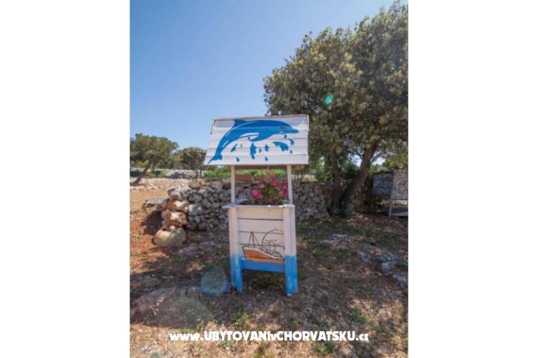 App Bonić – foto 33