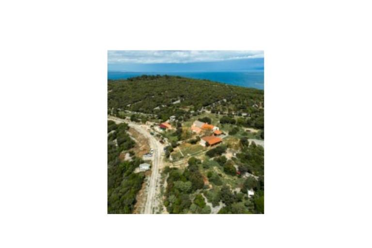 App Bonić – foto 97