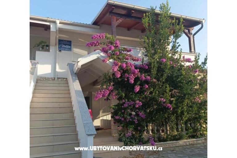 Apartmaji Delfin – foto 18