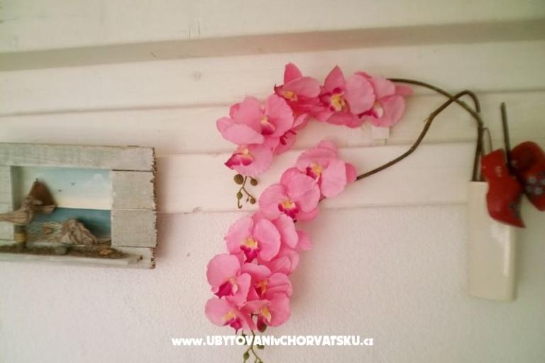 Apartmaji Alma – foto 17