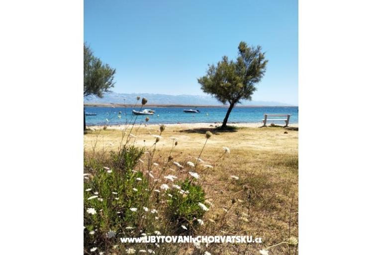 Apartmaji Aria – foto 20