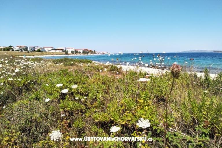 Apartmaji Aria – foto 22