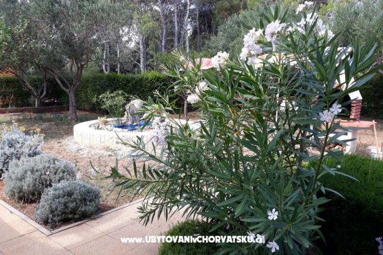 Apartmaji Budija / Viola – foto 5