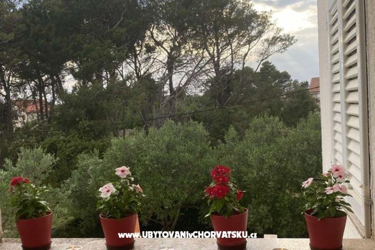Apartmaji Budija / Viola – foto 7