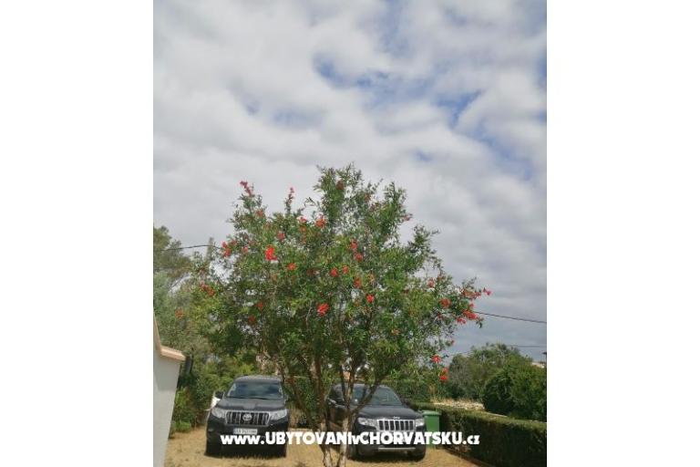 Apartmaji Budija / Viola – foto 9