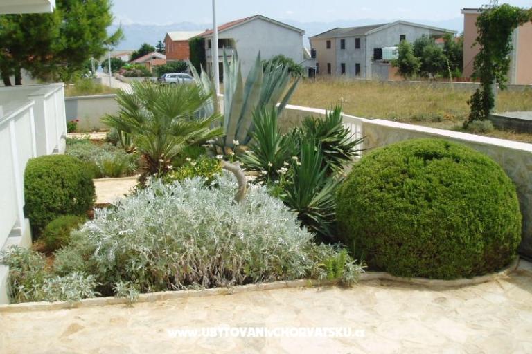Apartmaji Fegeš – foto 11