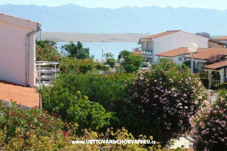 Apartmaji Ivica Serdarušić – foto 13