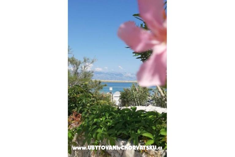 Apartmaji Knapić – foto 7