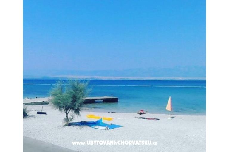 Apartmaji Marjanović – foto 8