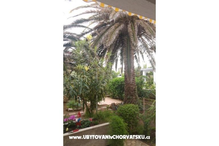 Apartmaji Milka Vir – foto 7