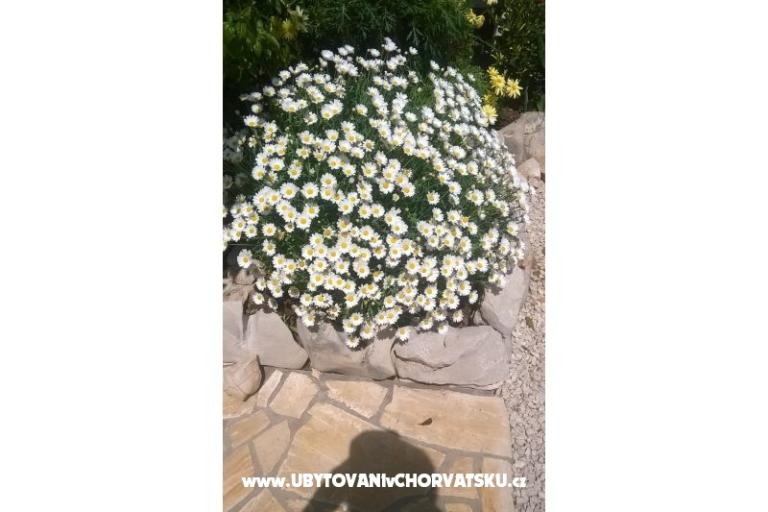Apartmaji Štefanija – foto 11