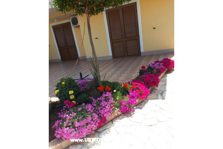 Apartmaji Štefanija – foto 13