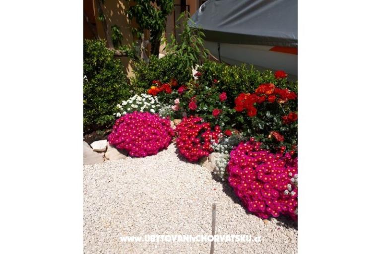 Apartmaji Štefanija – foto 14