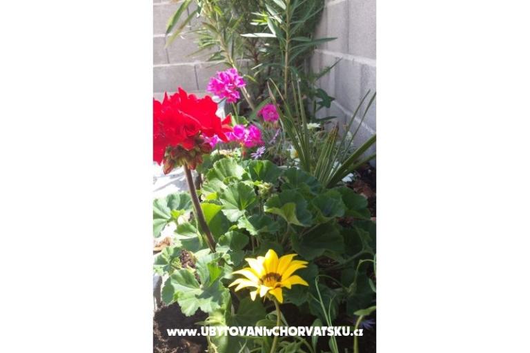 Apartmaji Maja – foto 14