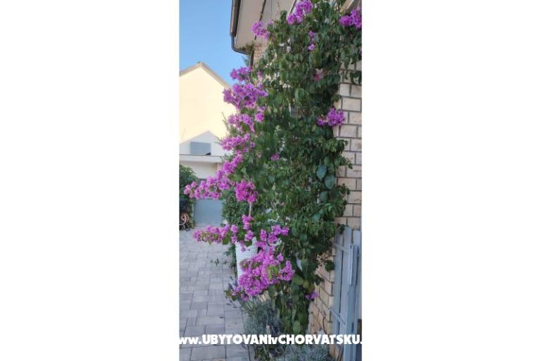Apartmaji Sunce – foto 35
