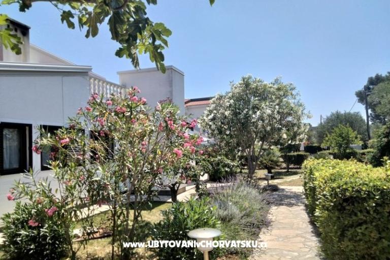 Apartmaji Budija / Lavanda – foto 2