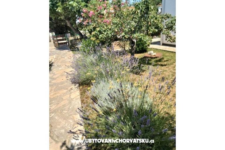 Apartmaji Budija / Lavanda – foto 4
