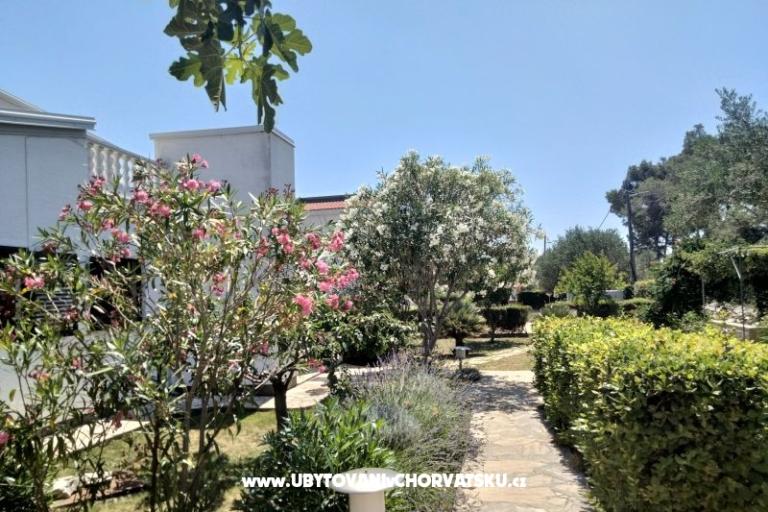 Apartmaji Budija / Lavanda – foto 6