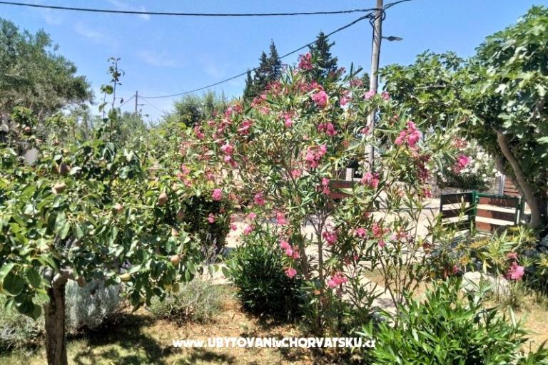 Apartmaji Budija / Lavanda – foto 8