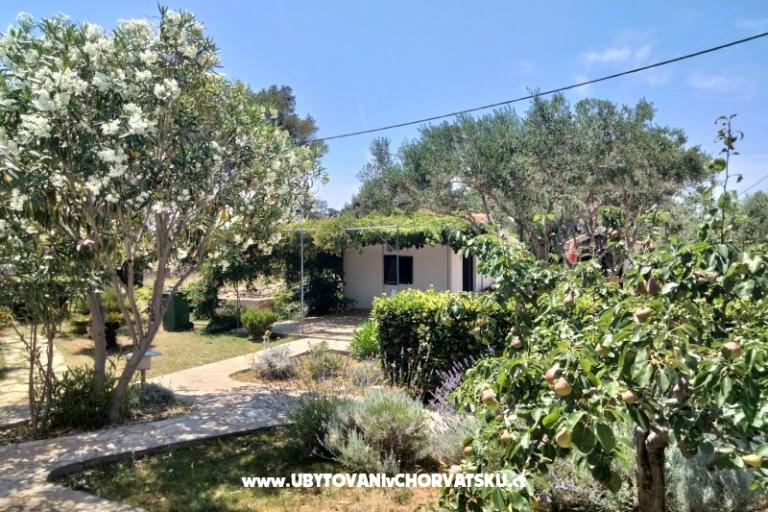 Apartmaji Budija / Lavanda – foto 9