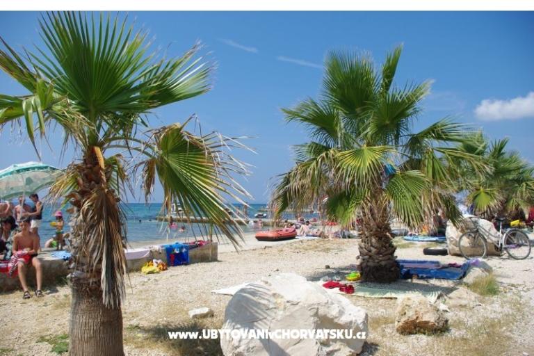 Apartmaji Plaža – foto 5