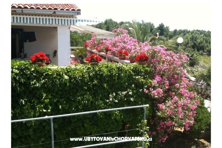 Apartma Lučica – foto 11