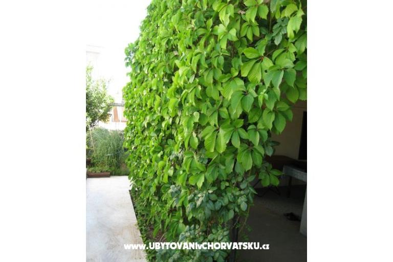 Apartma Lučica – foto 12