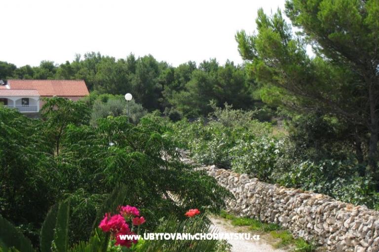 Apartma Lučica – foto 13