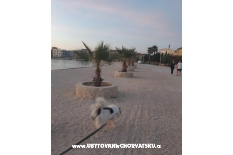 Apartmaji IVA – foto 35
