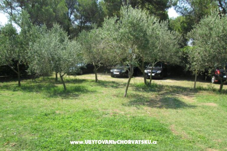 Apartmaji Pavlica – foto 8