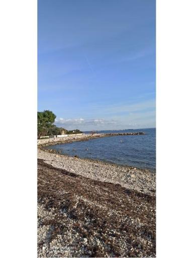Apartmaji Traum – foto 2