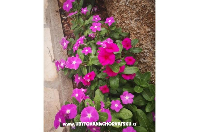 Apartmaji Vlašić – foto 9