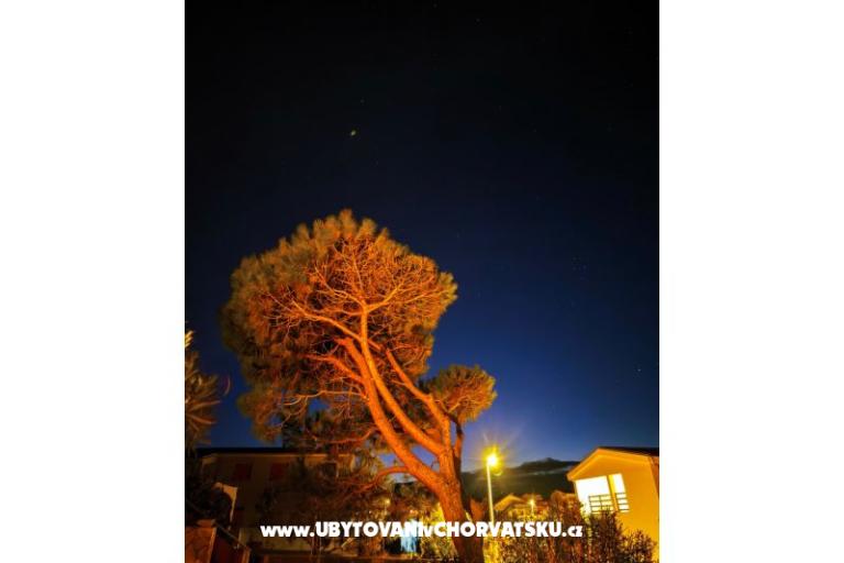 Apartmaji Dragicevic – foto 28