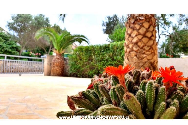 Happy Pineapple Apartmaji Vir – foto 6