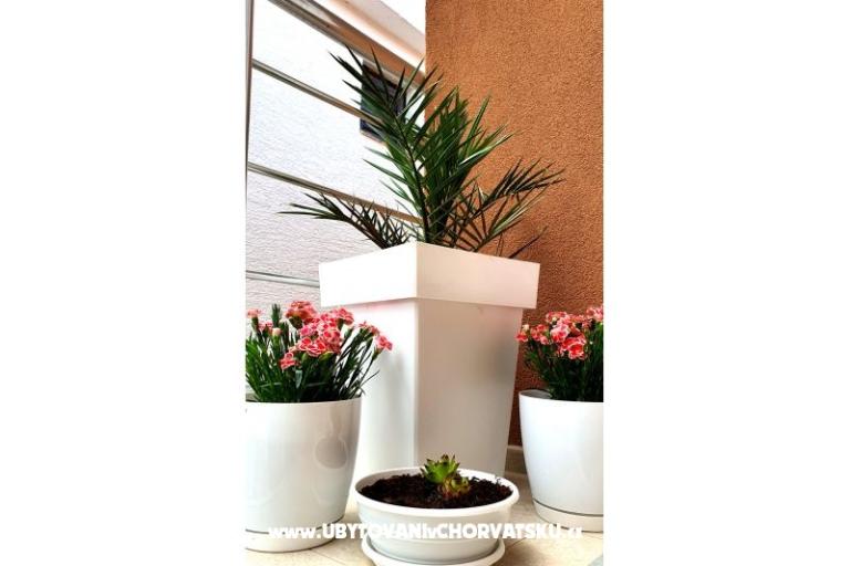 Happy Pineapple Apartmaji Vir – foto 7
