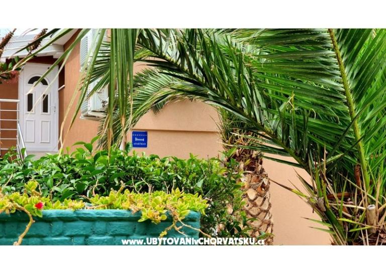 Happy Pineapple Apartmaji Vir – foto 8