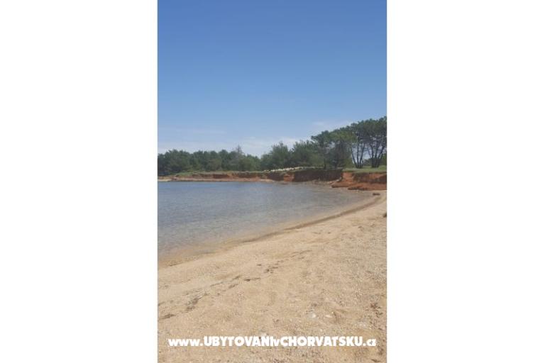 Hiša Sabina – foto 23