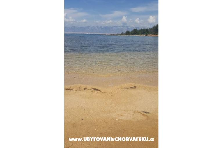 Hiša Sabina – foto 25