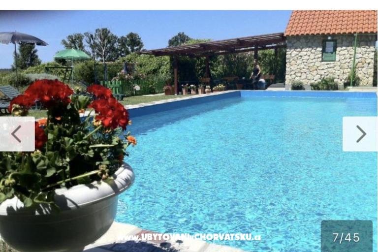 Hiša Sabina – foto 43