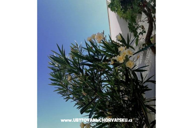 Ivo Nedić Apartmaji – foto 12