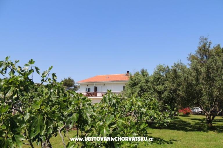 Apartmaji Liveric – foto 18