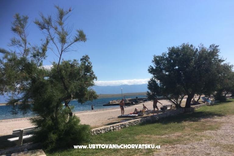 Hiša Aqualis – foto 11