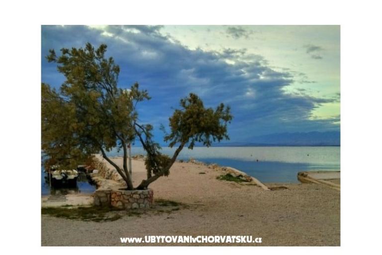 Hiša Aqualis – foto 8
