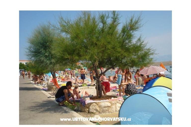 Apartmaji-MGM Vir – foto 15