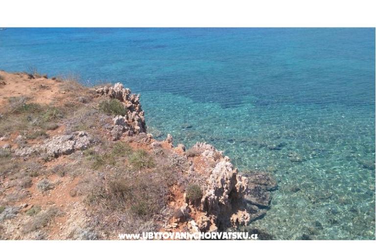 Počitniški dom Venus – foto 7