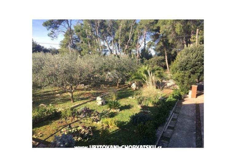 Počitniški dom Barbenjak – foto 15