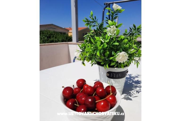 Nedić Apartmaji – foto 8