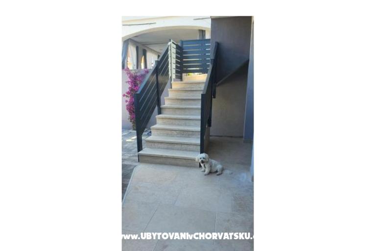 Vir - Salt and Sun – foto 35