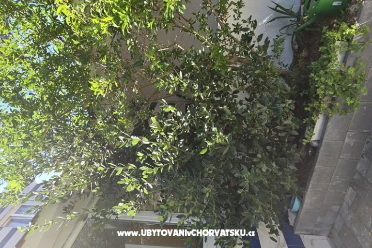 Sunset Paradise Apartmaji Vir – foto 57